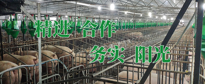 常加（上海）农业科技有限公司